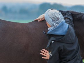 Palpation des thoraciques