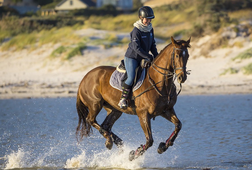 Cheval raide à gauche