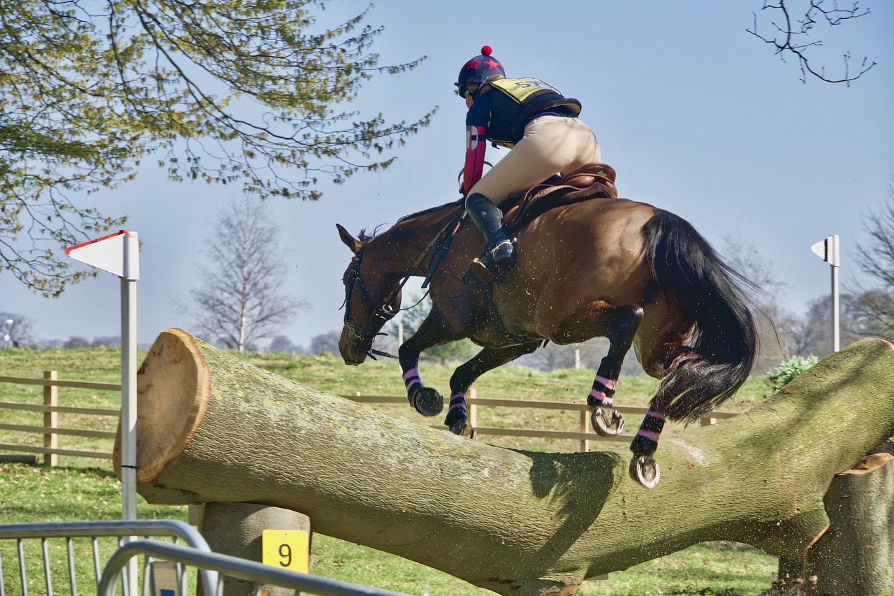 Cheval vrille au-dessus de l'obstacle